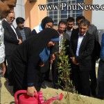 روز درختکاری پیام نور قشم