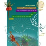 همایش ملی زبان های بومی زاگرس میانی در دانشگاه پیام نور خرم آباد