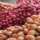 گزارش شهروند گتوندی از رها کردن محصول گوجه فرنگی