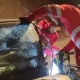 باز نشدن ایربگ موجب مرگ دختر ۲۳ ساله شد/ عکس