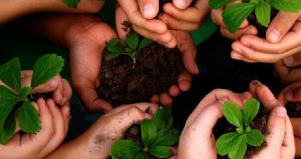 کاشت بیش از سه هزار نهال به جای حبس محکومان در باوی