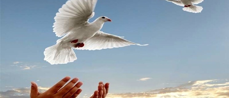 محکوم به قصاص نفس در دزفول از طناب دار رهایی یافت