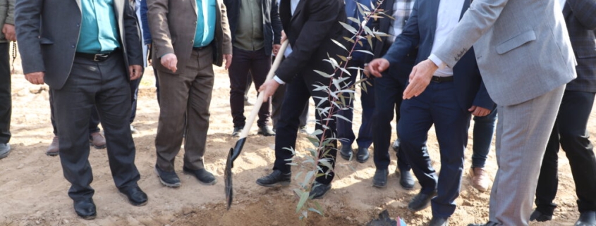 ⭕ دروغ بزرگی به نام اکالیپتوس؛ خنجری بر قلب خوزستان