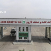 تلاش پنهانی رانت خواران برای ممانعت از صدور حکم مدیرعامل شرکت کارون